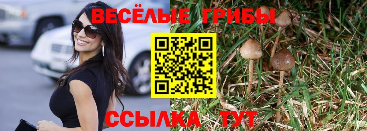 Галлюциногенные грибы прущие грибы  Вход с VPN  Магнитогорск 